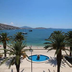 Ari Albania